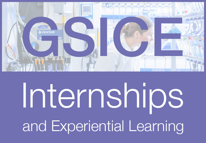 GSICE Internships and Experiential Learning, program graphic with a background image of a woman working in a scientific lab setting